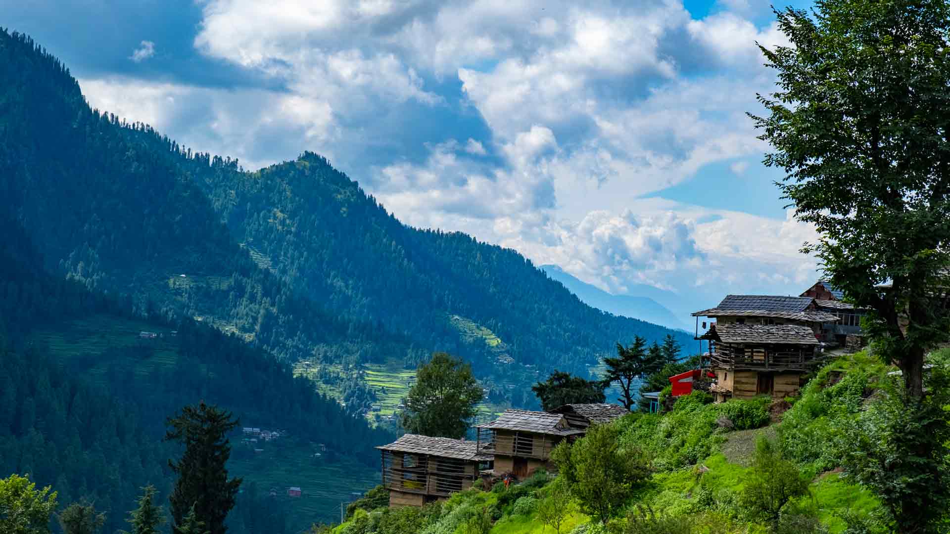 Shimla Kasol Manali 6N/7D Delight